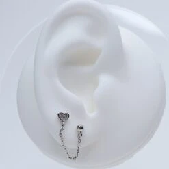 Puces Asia 13 Puces Asia -Majolie Asia Argent 2