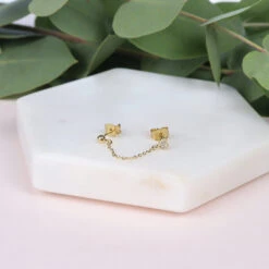 Puces Asia 10 Puces Asia -Majolie Asia Or