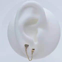 Puces Asia 11 Puces Asia -Majolie Asia Or 2