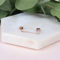 Puces Asia 14 Puces Asia -Majolie Asia Or Rose