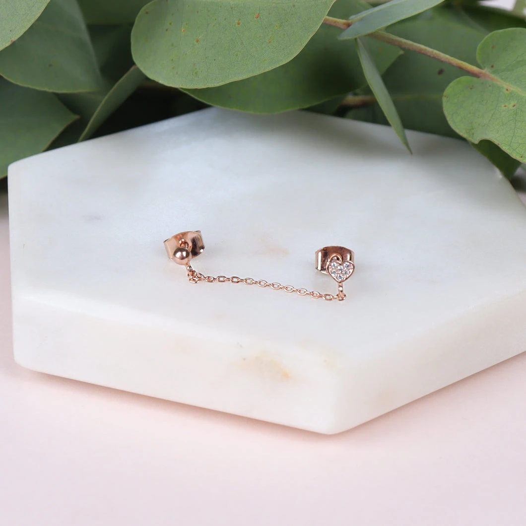 Puces Asia 7 Puces Asia – Image 7