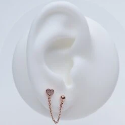 Puces Asia 15 Puces Asia -Majolie Asia Or Rose 2