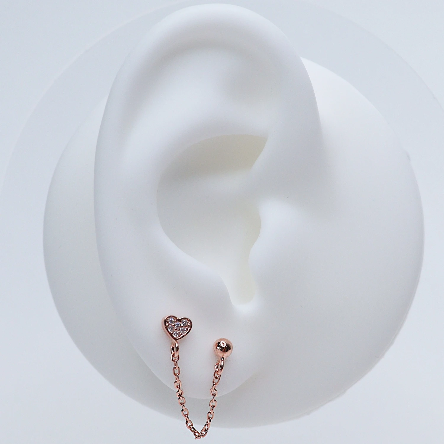 Puces Asia 8 Puces Asia – Image 8