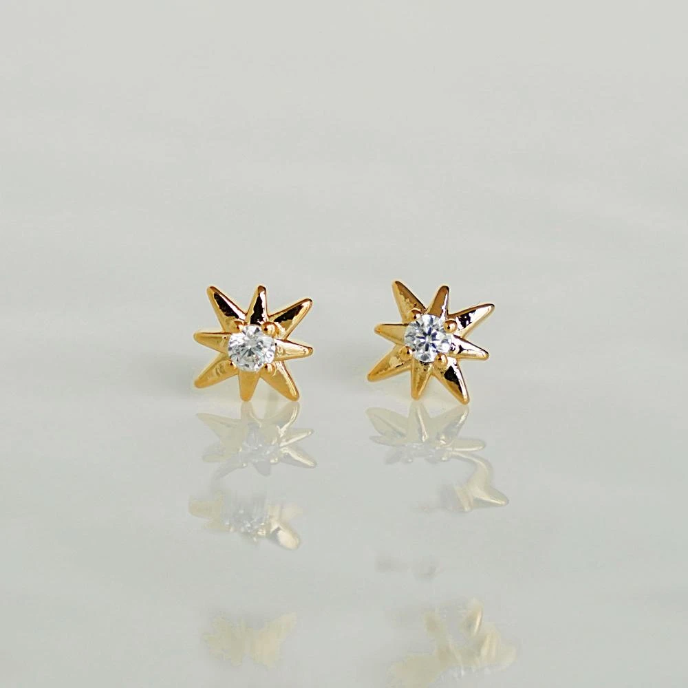 Puces Gala 1 Puces Gala