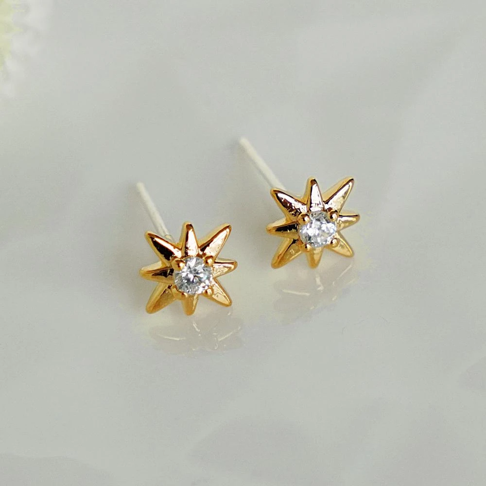 Puces Gala 5 Puces Gala – Image 5