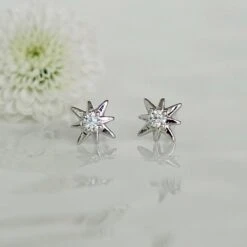 Puces Gala 15 Puces Gala -Majolie Bijoux Majolie DSC00563