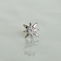 Puces Gala 16 Puces Gala -Majolie Bijoux Majolie DSC00566