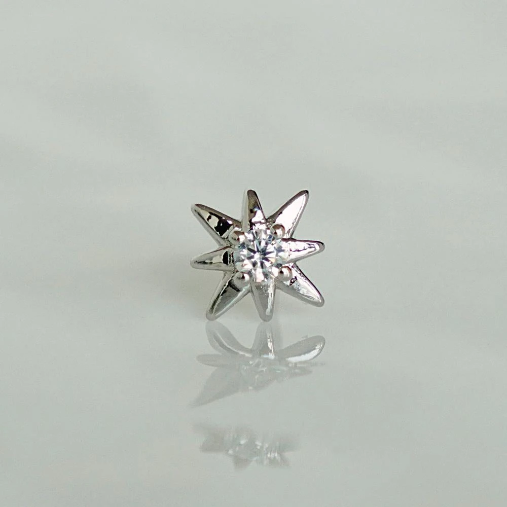 Puces Gala 7 Puces Gala – Image 7