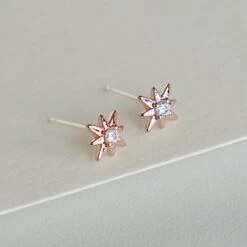 Puces Gala 17 Puces Gala -Majolie Bijoux Majolie DSC00591