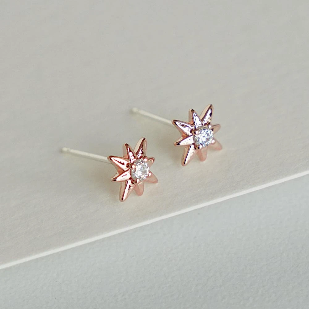 Puces Gala 8 Puces Gala – Image 8