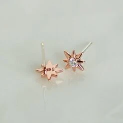 Puces Gala 18 Puces Gala -Majolie Bijoux Majolie DSC00596