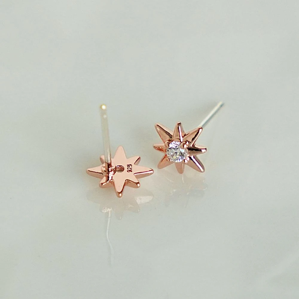 Puces Gala 9 Puces Gala – Image 9