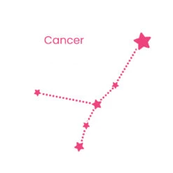 Collier Zodiaque 23 Collier Zodiaque -Majolie Cancer