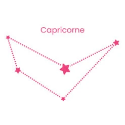 Collier Zodiaque 18 Collier Zodiaque -Majolie Capricorne zodiac majolie