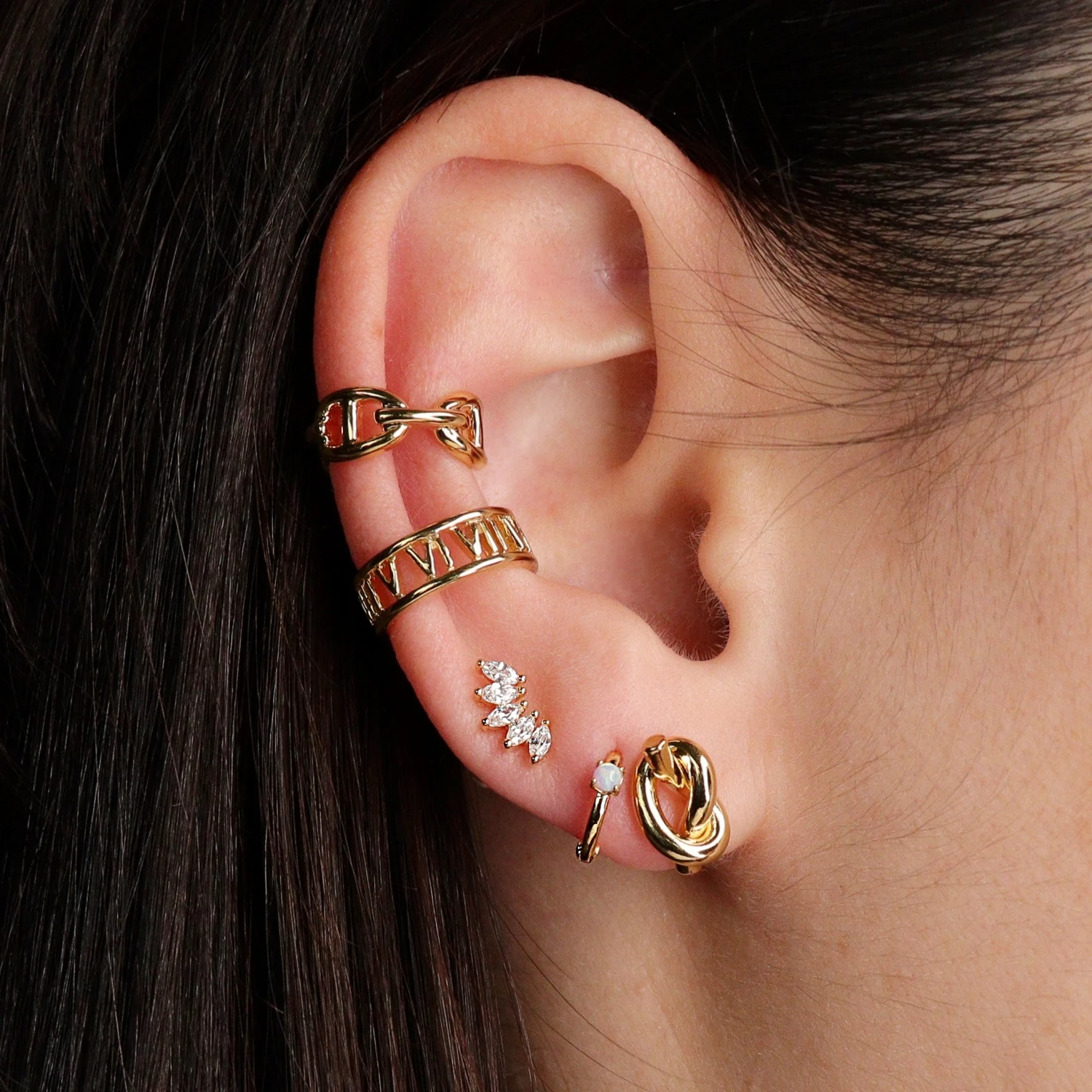 Puces Gaga 2 Puces Gaga – Image 2