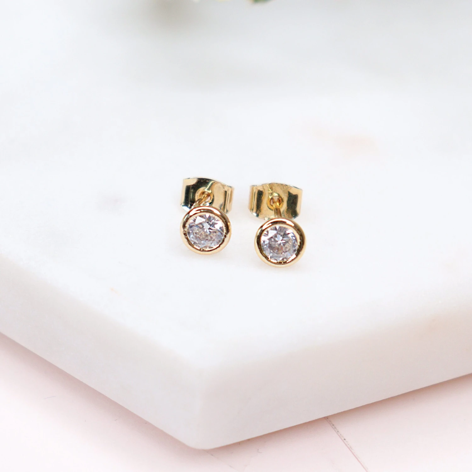 Puces Chicha 1 Puces Chicha