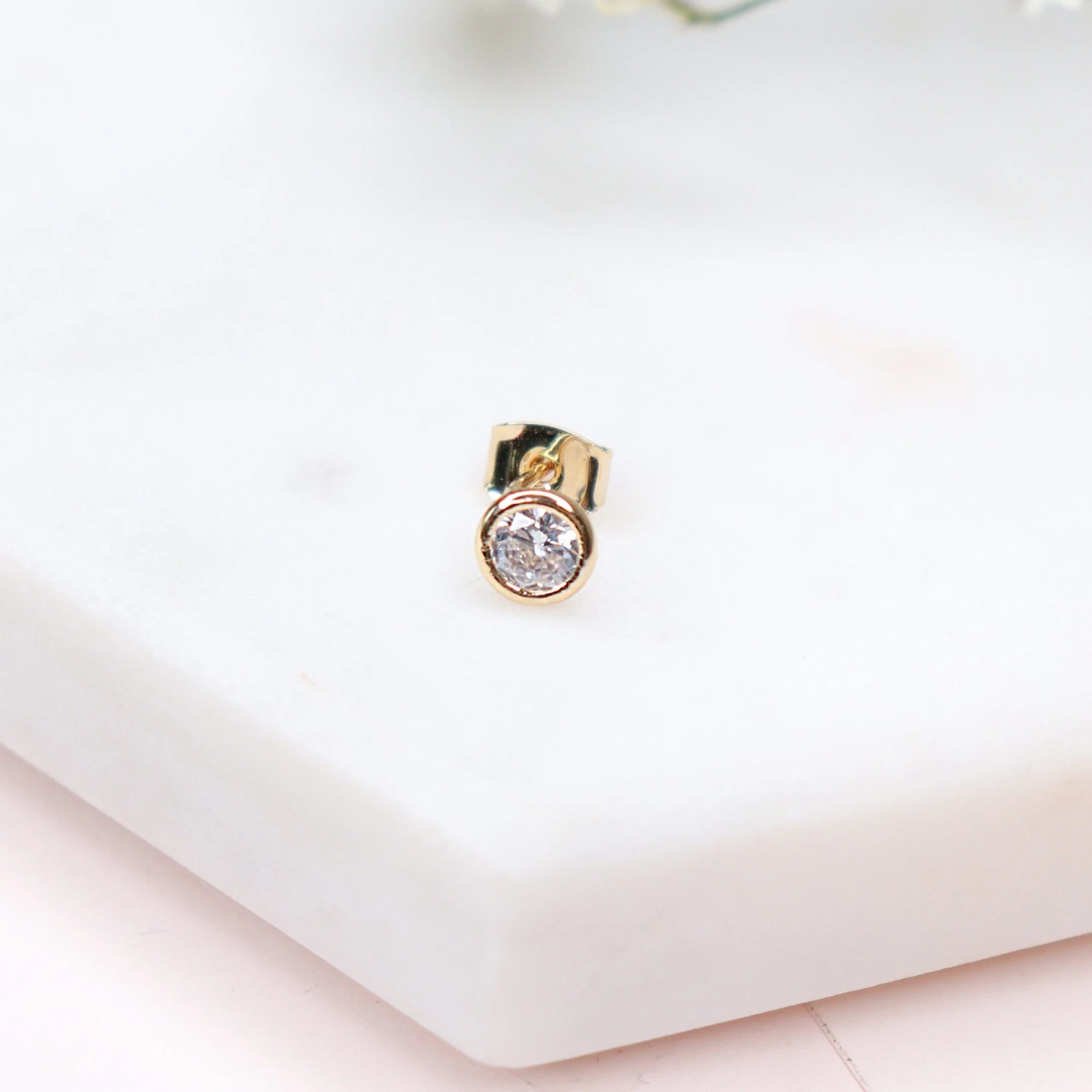 Puces Chicha 3 Puces Chicha – Image 3