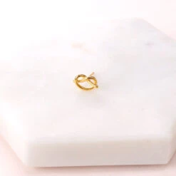 Puces Greta 7 Puces Greta -Majolie Greta 3