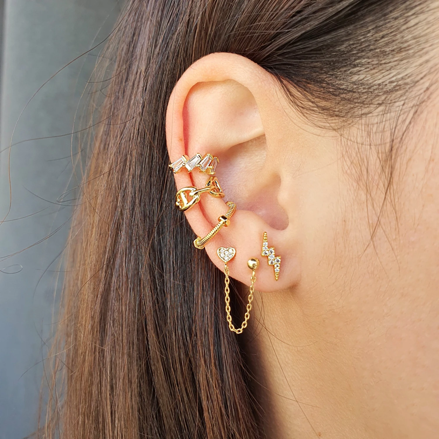 Puces Asia 5 Puces Asia – Image 5