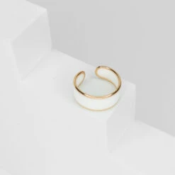 Devant 27 Devant -Majolie IMG 3412