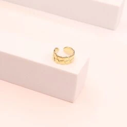 Earcuff James 9 Earcuff James -Majolie James Or1