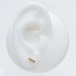 Puces Joy 17 Puces Joy -Majolie Joy or majolie