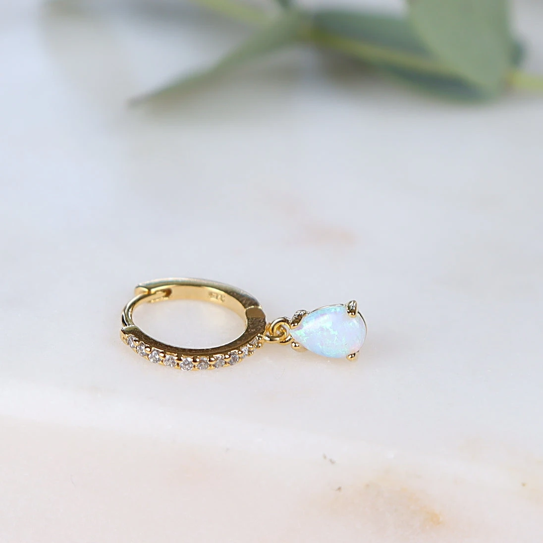 Mini Créole Leo 11 Mini Créole Leo – Image 11