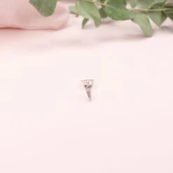 Puces Lou 10 Puces Lou -Majolie Lou Argent Unite