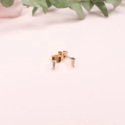 Puces Lou 11 Puces Lou -Majolie Lou Or paire