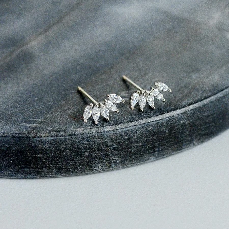 Puces Gaga 5 Puces Gaga – Image 5