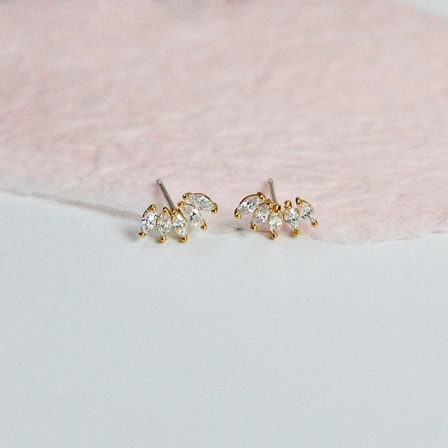 Puces Gaga 1 Puces Gaga