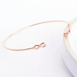 Bracelet Infini - Or Rose 18K 5 Bracelet Infini - Or Rose 18K -Majolie Majolie Bijoux Bangle Double Infini Rose 2 1024x1024 36eeb8a6 850f 4395 8d97 a99bd6e78073
