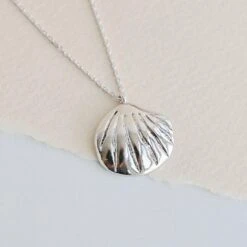 Collier Coquillage - Argent