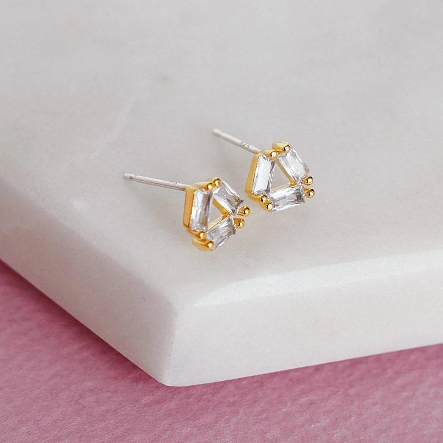 Puces Jane 4 Puces Jane – Image 4