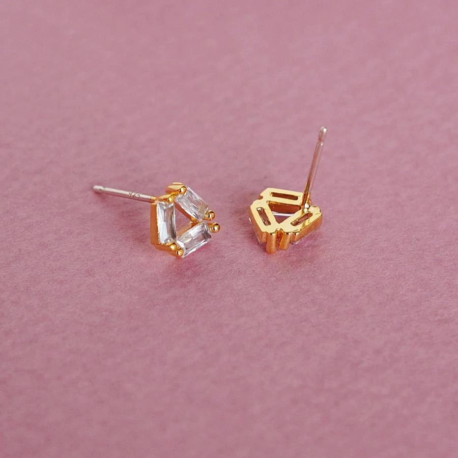 Puces Jane 5 Puces Jane – Image 5