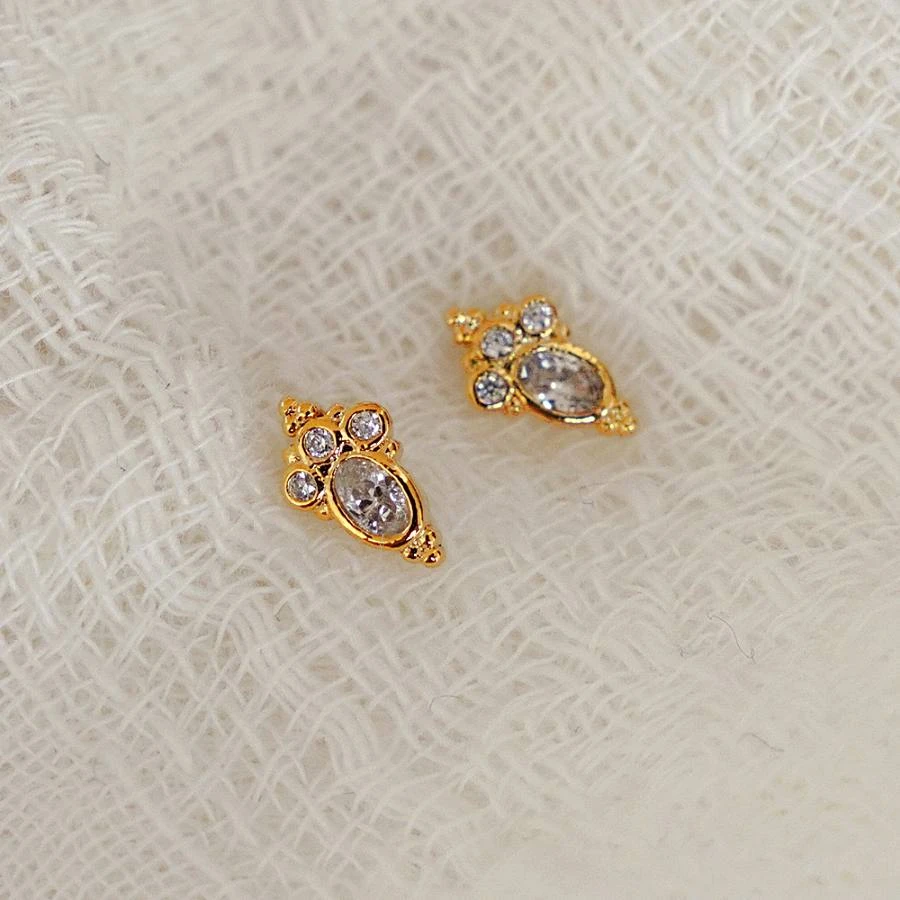 Puces Swan 6 Puces Swan – Image 6