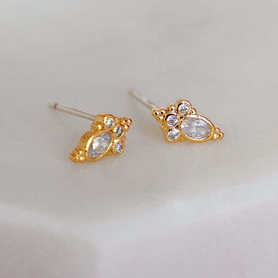 Puces Swan 1 Puces Swan