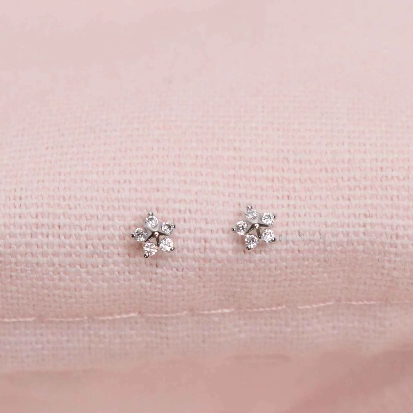 Puces Juliette 1 Puces Juliette