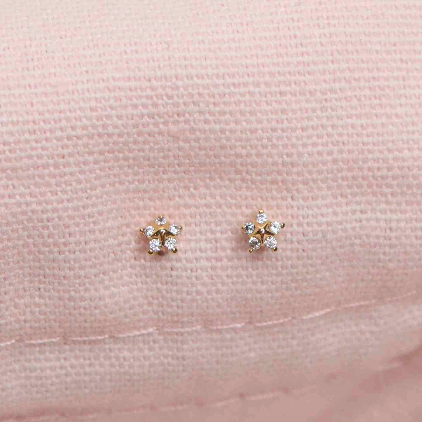 Puces Juliette 2 Puces Juliette – Image 2