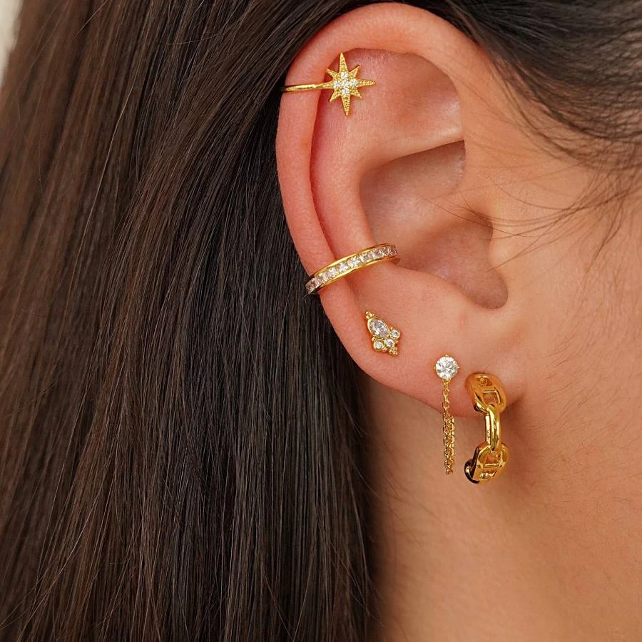 Puces Swan 2 Puces Swan – Image 2