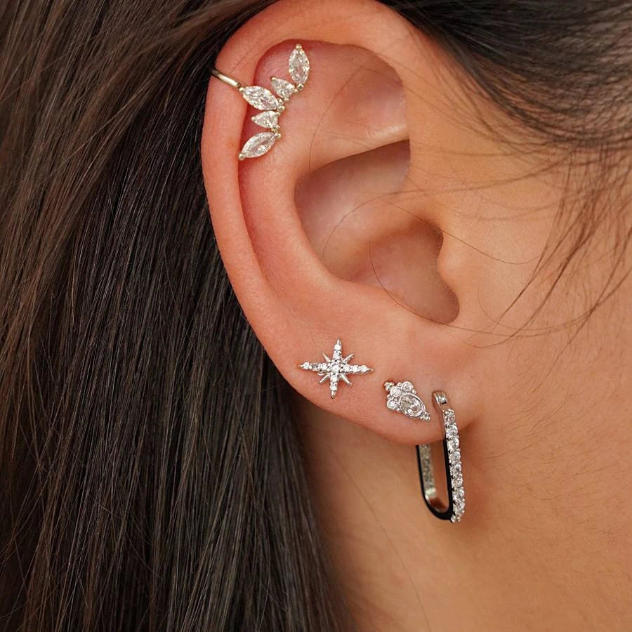 Puces Swan 3 Puces Swan – Image 3