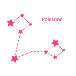 Collier Zodiaque 26 Collier Zodiaque -Majolie Poissons