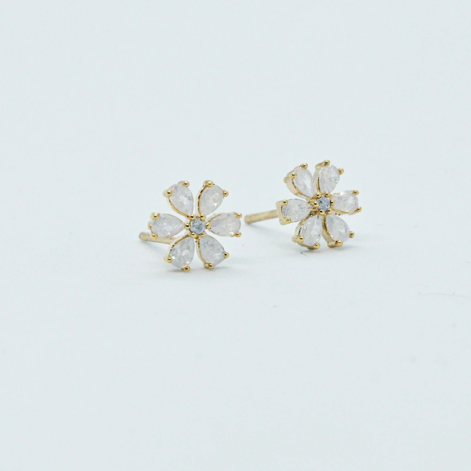 Puces Cassia 3 Puces Cassia – Image 3