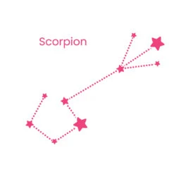 Collier Zodiaque 17 Collier Zodiaque -Majolie Scorpion