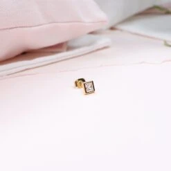 Puces Taly 13 Puces Taly -Majolie TalyOr