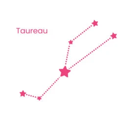 Collier Zodiaque 28 Collier Zodiaque -Majolie Taureau