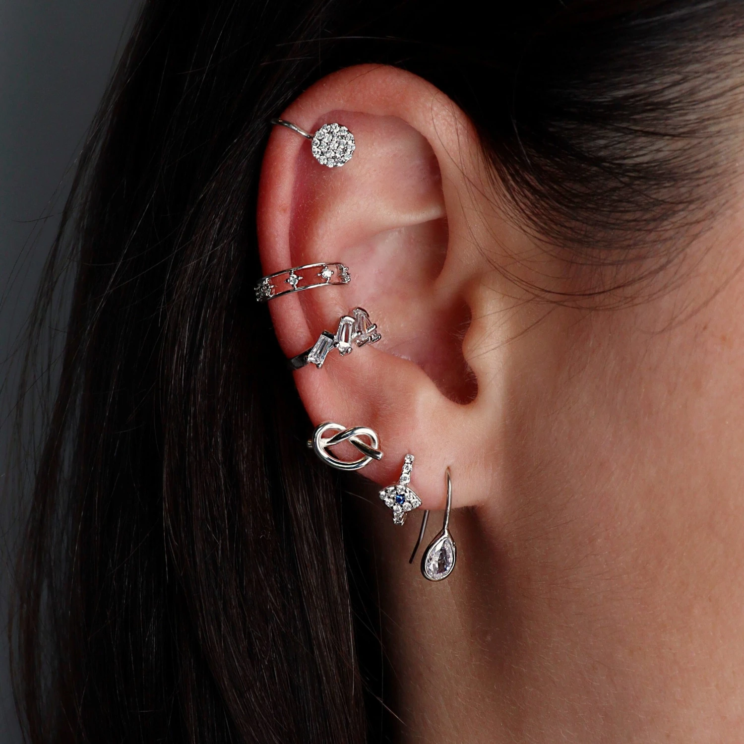 Puces Greta 2 Puces Greta – Image 2