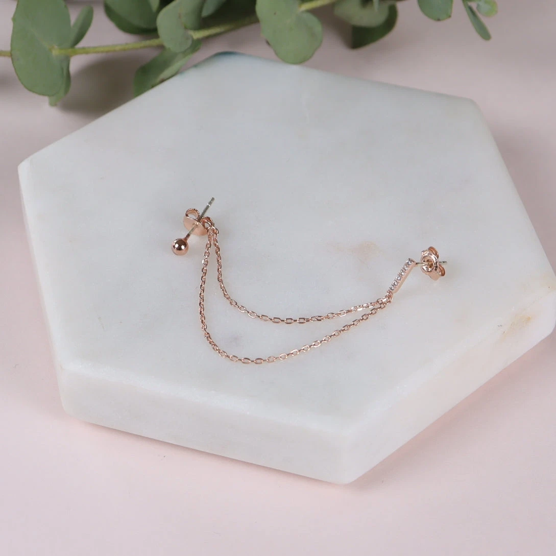 Puces Xena 5 Puces Xena – Image 5